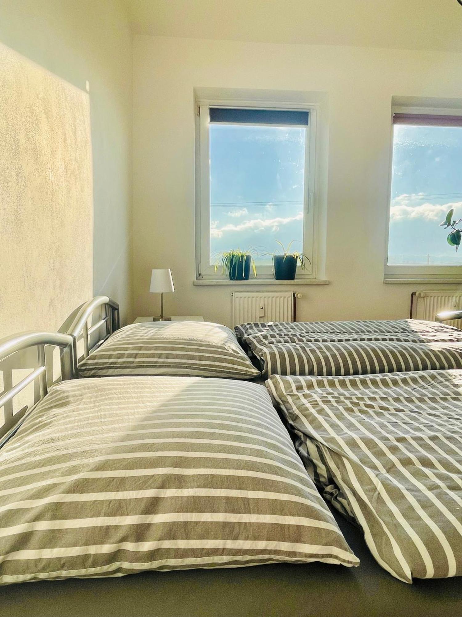 "Mts-Haus Zettemin" - 2 Familienfreundliche Ferienwohnungen In Mecklenburg المظهر الخارجي الصورة